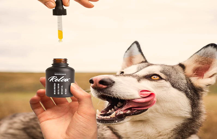 Unleashing the Magic of CBD Oil for Your Lovely Pets!